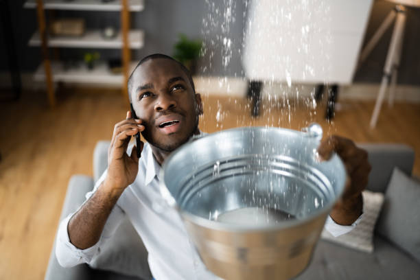 Best Flood damage cleanup  in Bacliff, TX