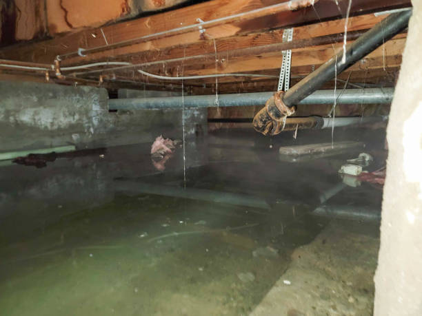 Best 24-hour water damage restoration  in Bacliff, TX