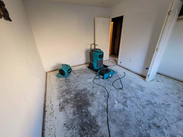 Best Basement water damage restoration  in Bacliff, TX