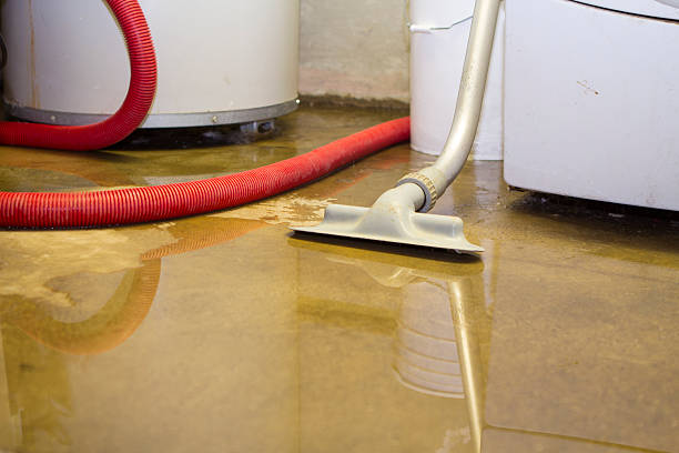 Best Basement water damage restoration  in Bacliff, TX