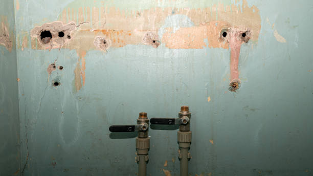 Best Carpet water damage restoration  in Bacliff, TX