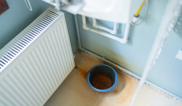 Best Local water damage restoration  in Bacliff, TX