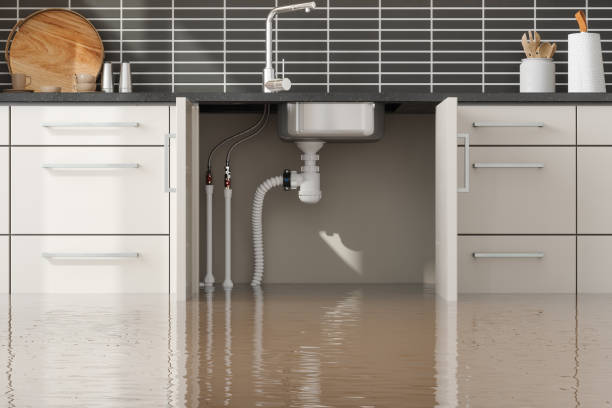 Best Professional water damage repair  in Bacliff, TX