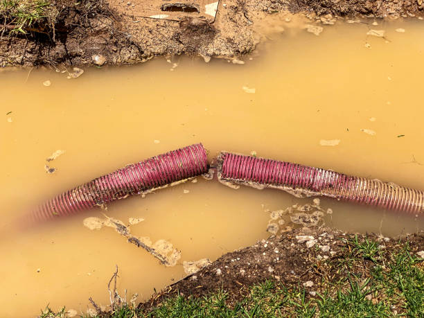  Bacliff, TX Water damage restoration Pros